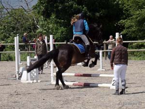 20090606_140528_0141_eriksen_isabell_brownie