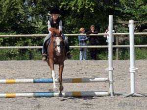 20090606_140810_0149_nilsson_sara_diva