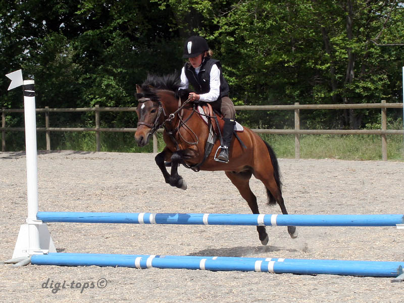 20090606_143122_0193_norin_emmie_magnus