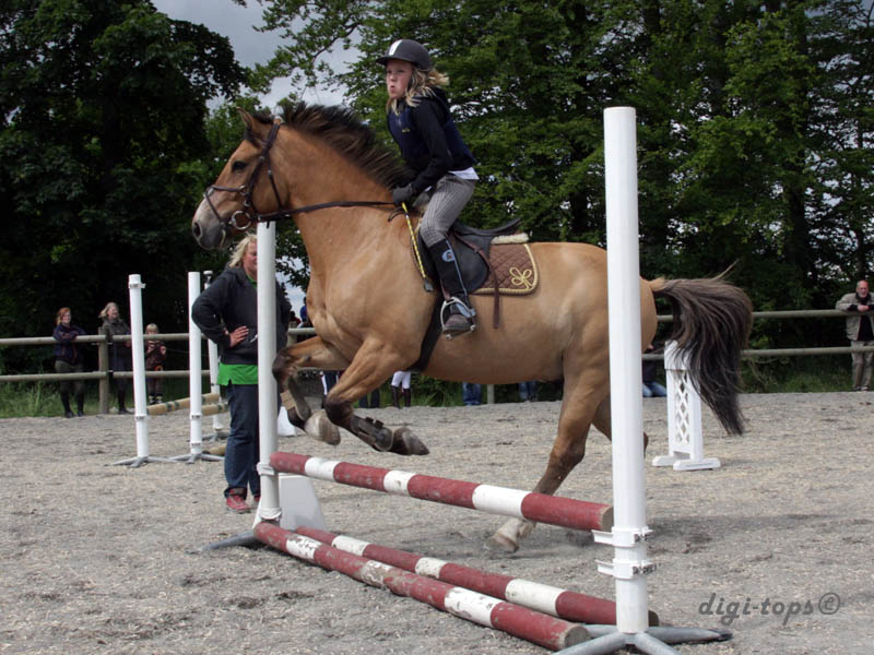 20090606_144342_0011_gullstrand_wilma_jh-frasse