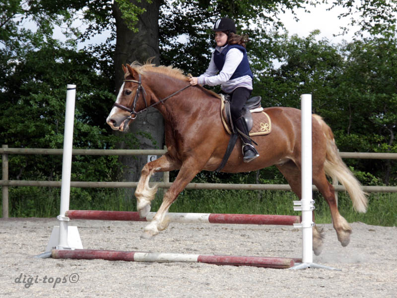 20090606_145208_0030_werklund_emma_red-prince