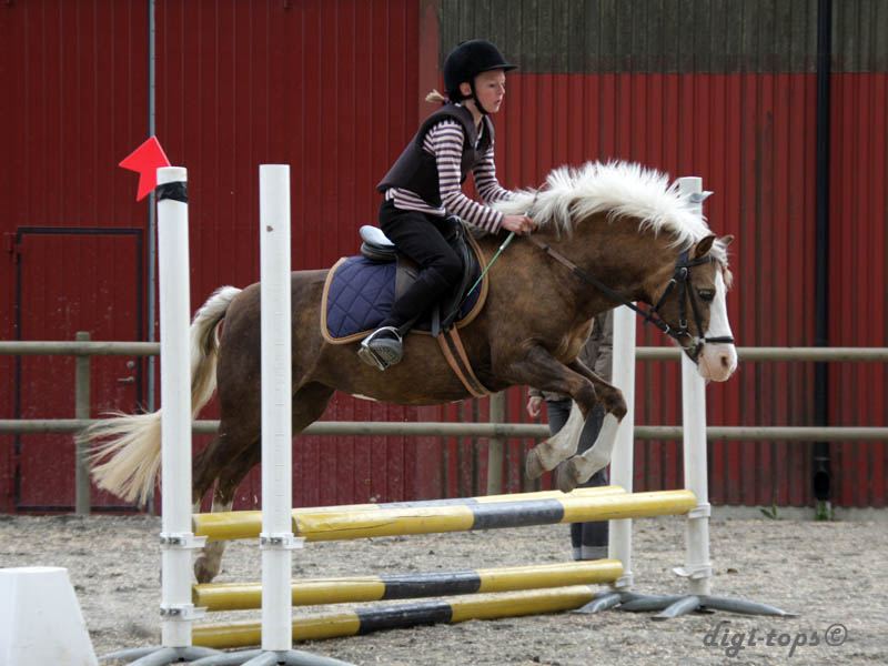 20090606_145506_0039_larsson_julia_princessan