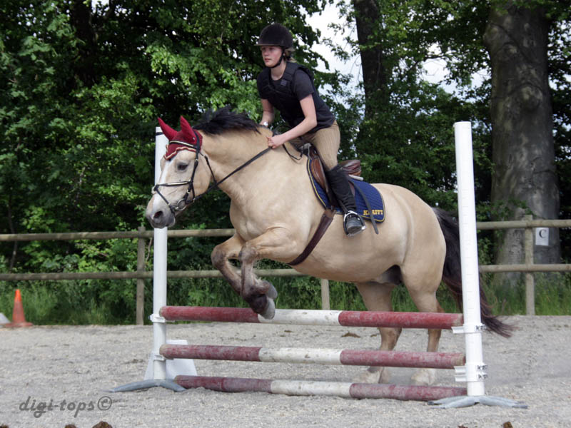 20090606_153644_0069_tynell_andrea_nellie