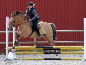 20090606_153130_0277_heander_erica_jh-frasse