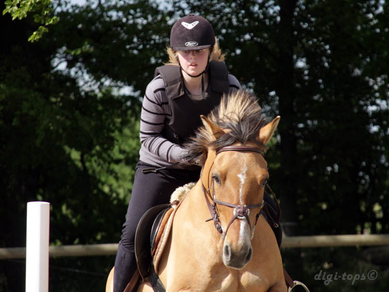 20090606_161818_0105_heander_erica_jh-frasse