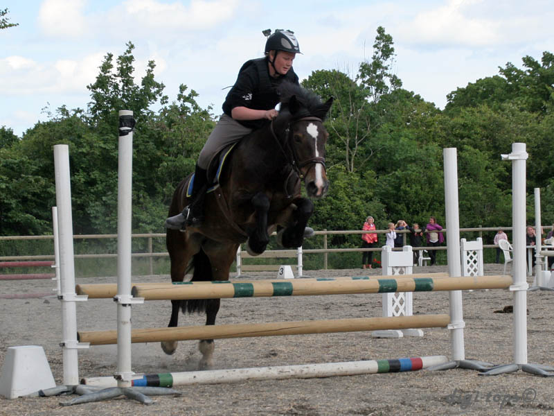 20090606_162602_0343_johansson_hugo_brownie