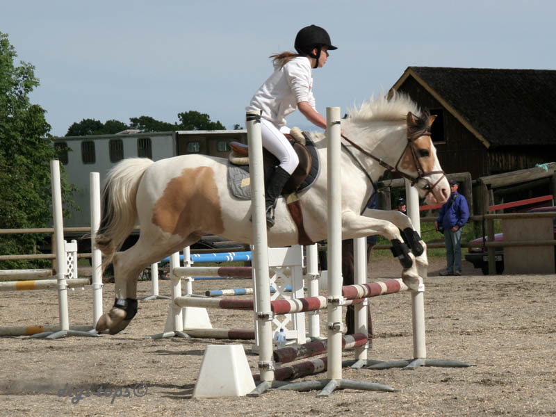 20090606_163102_0355_truedsson_lisa_gizmo