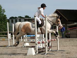 20090606_163102_0355_truedsson_lisa_gizmo