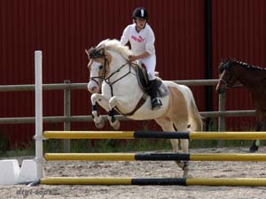 20090606_163108_0133_truedsson_lisa_gizmo