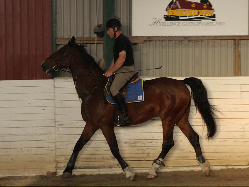 20090818_193016_0015