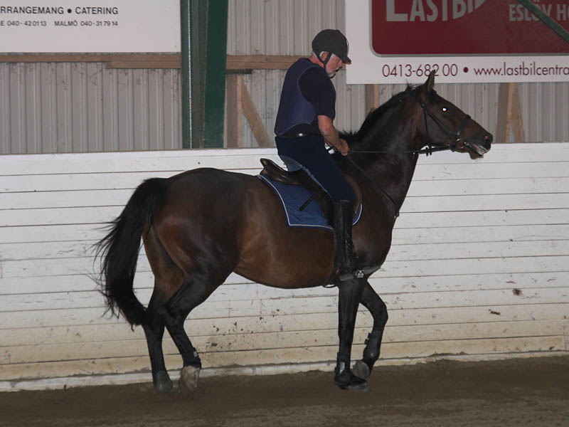 20090818_195436_0036