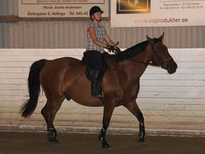 20090818_194834_0029