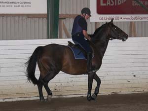 20090818_195436_0036