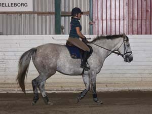 20090818_195444_0037