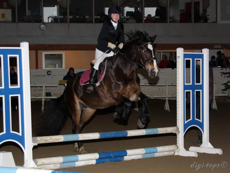 20091227_121234_0084 vera hinderoth brownie