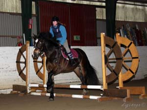 20091227_113930_0046 isabell eriksen brownie