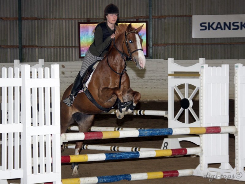 20100513_140202_0305 Andrea Tynell Madonna