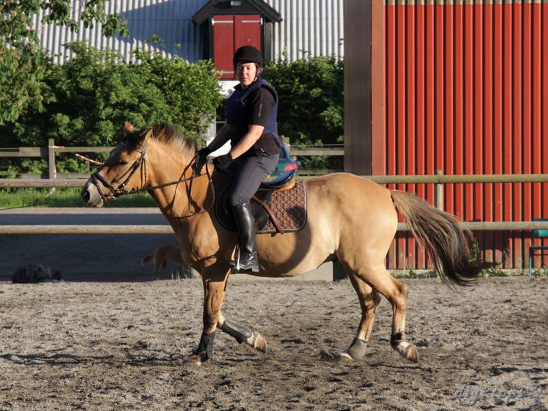 20100616_195028_0008