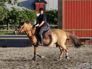 20100616_195028_0008