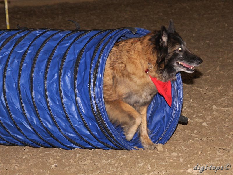 20111016_135308_0182