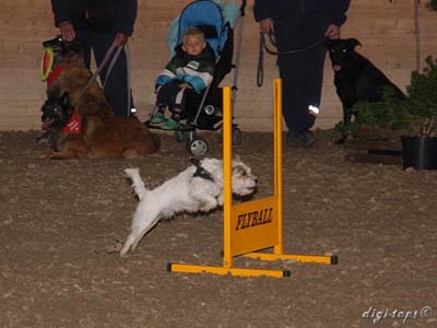 20111016_135546_0185