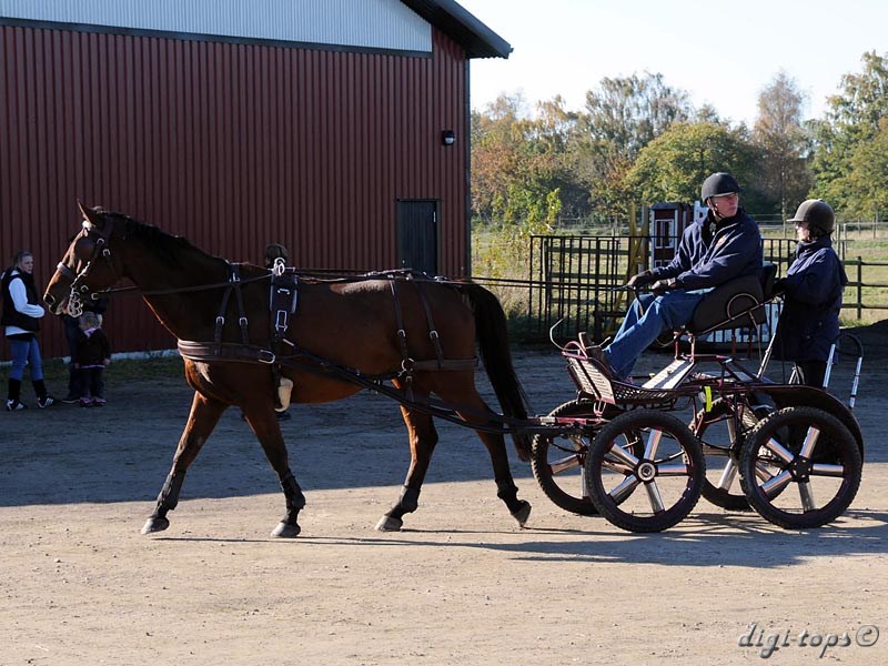 20111016_121650_2132