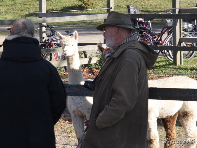 01_20111016_113514_0076