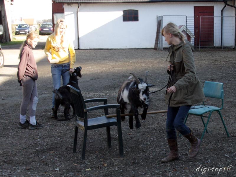 02_20111016_142916_0212