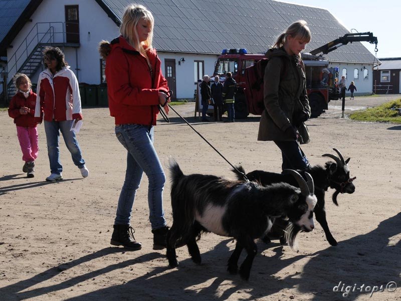 02_20111016_142965_2135