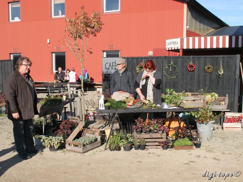 03_20111016_113736_0023