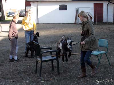 02_20111016_142916_0212