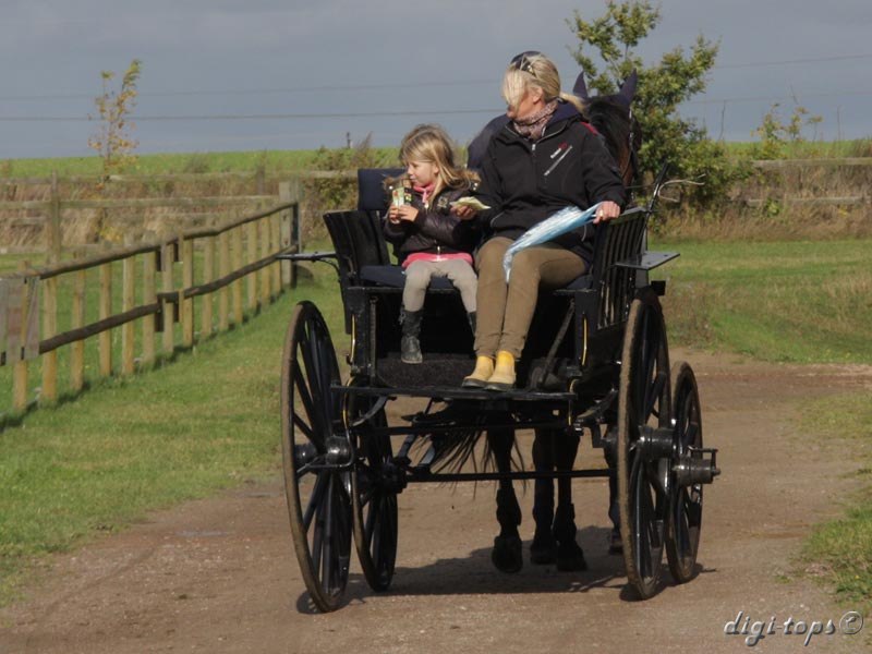 20121007_122446_0008