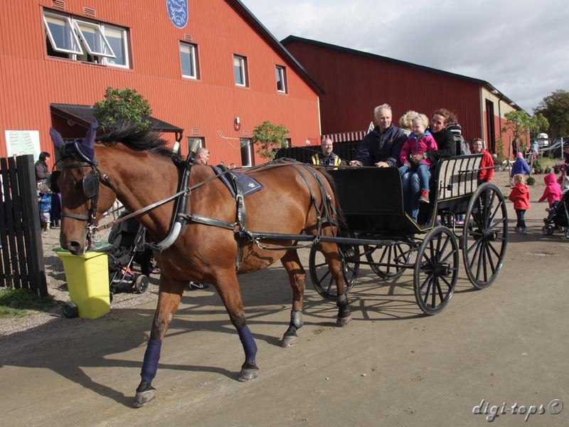 20121007_123426_0028