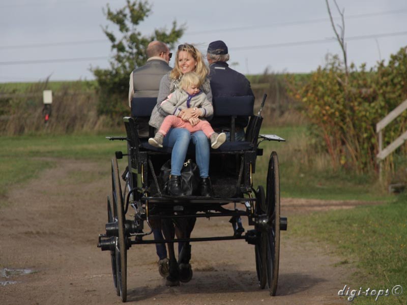 20121007_130420_0081