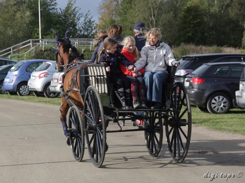 20121007_131332_0087