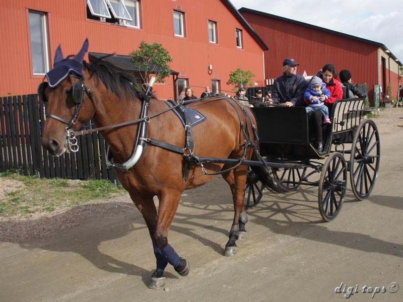 20121007_132732_0098