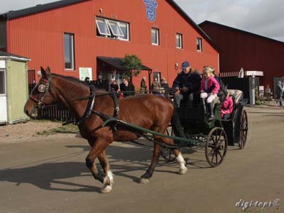 20121007_122628_0014