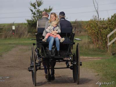 20121007_130420_0081