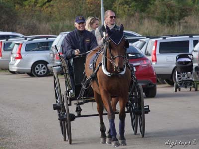 20121007_130712_0084