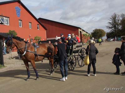 20121007_131806_0094